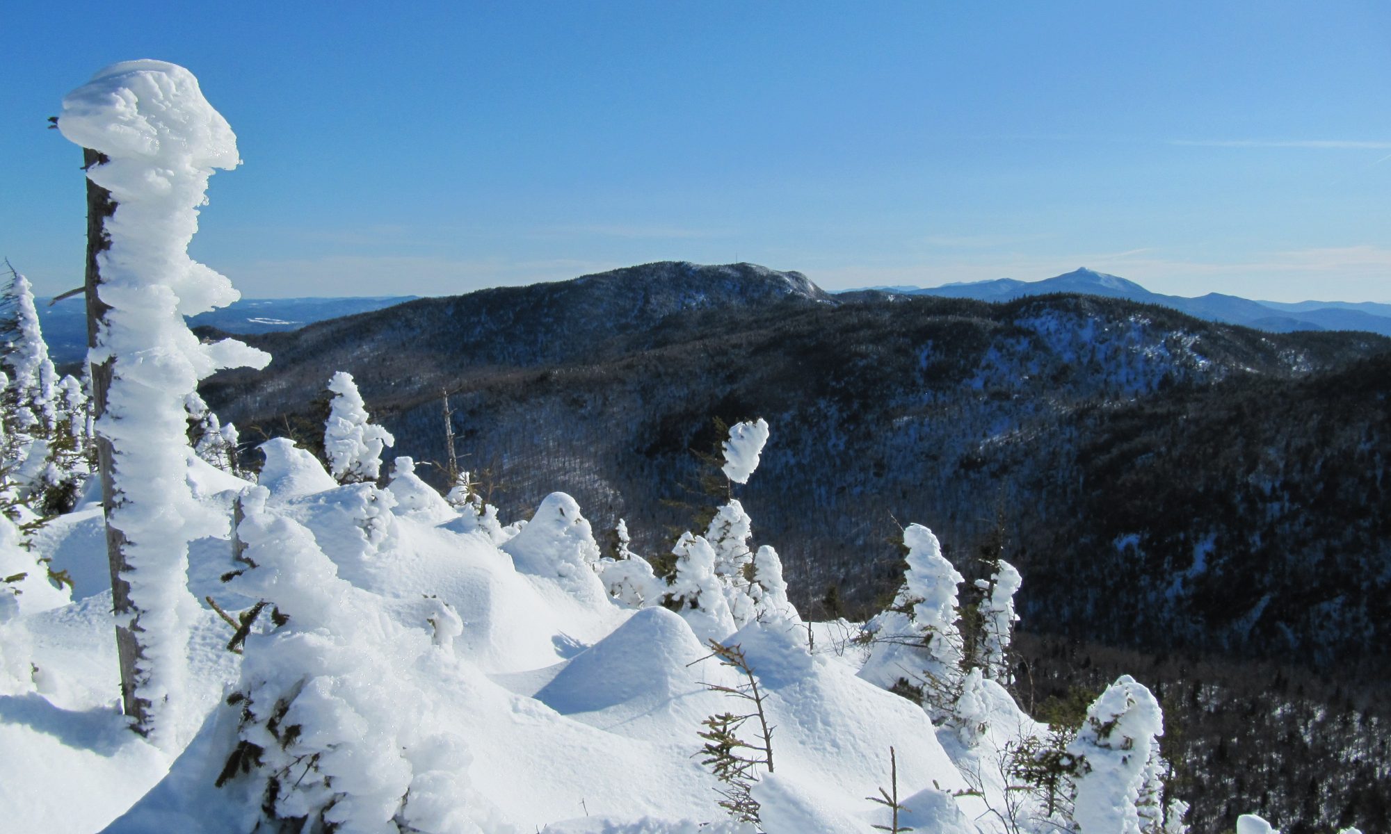 Bolton/Trapp Trail