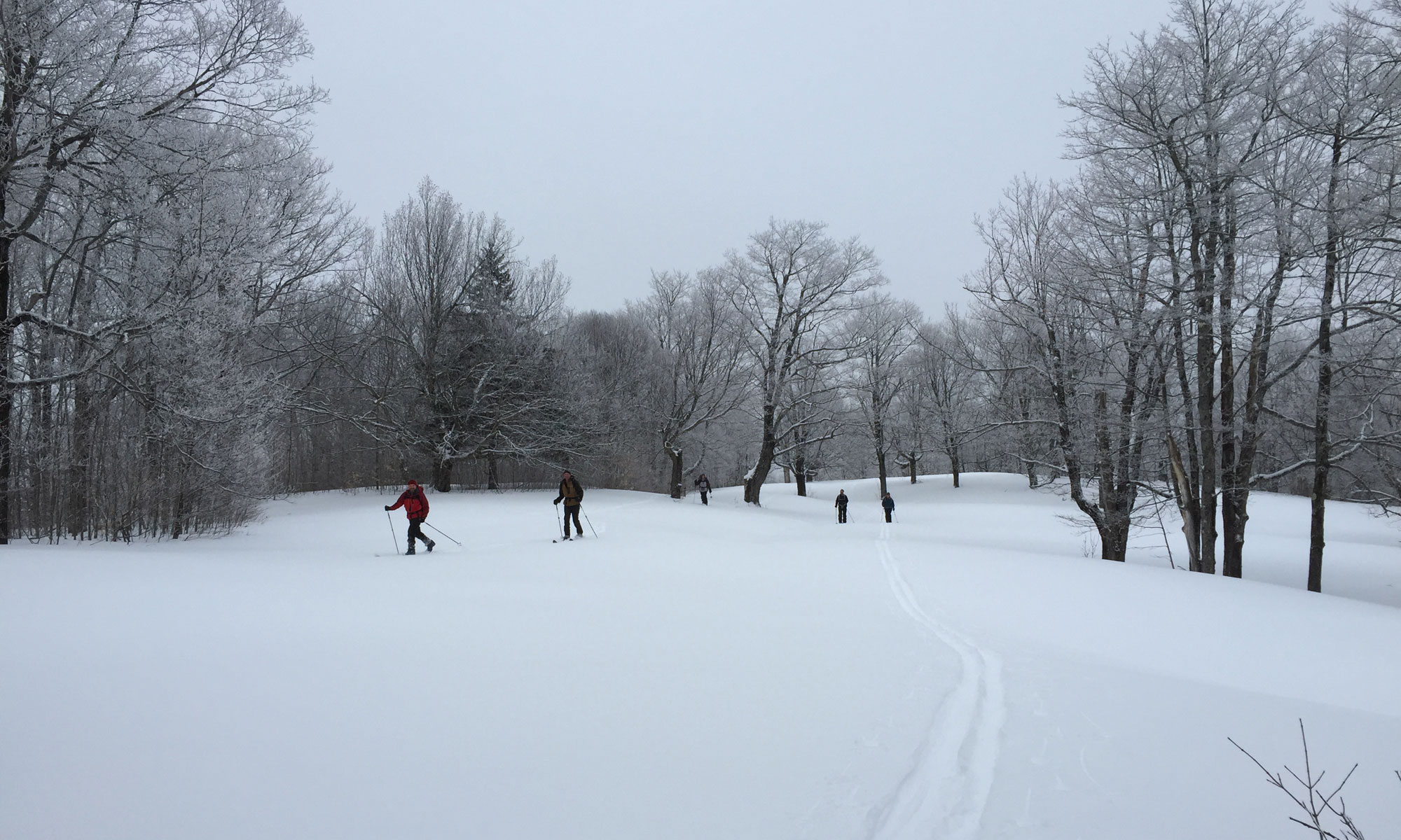 Field skiing on a misty day