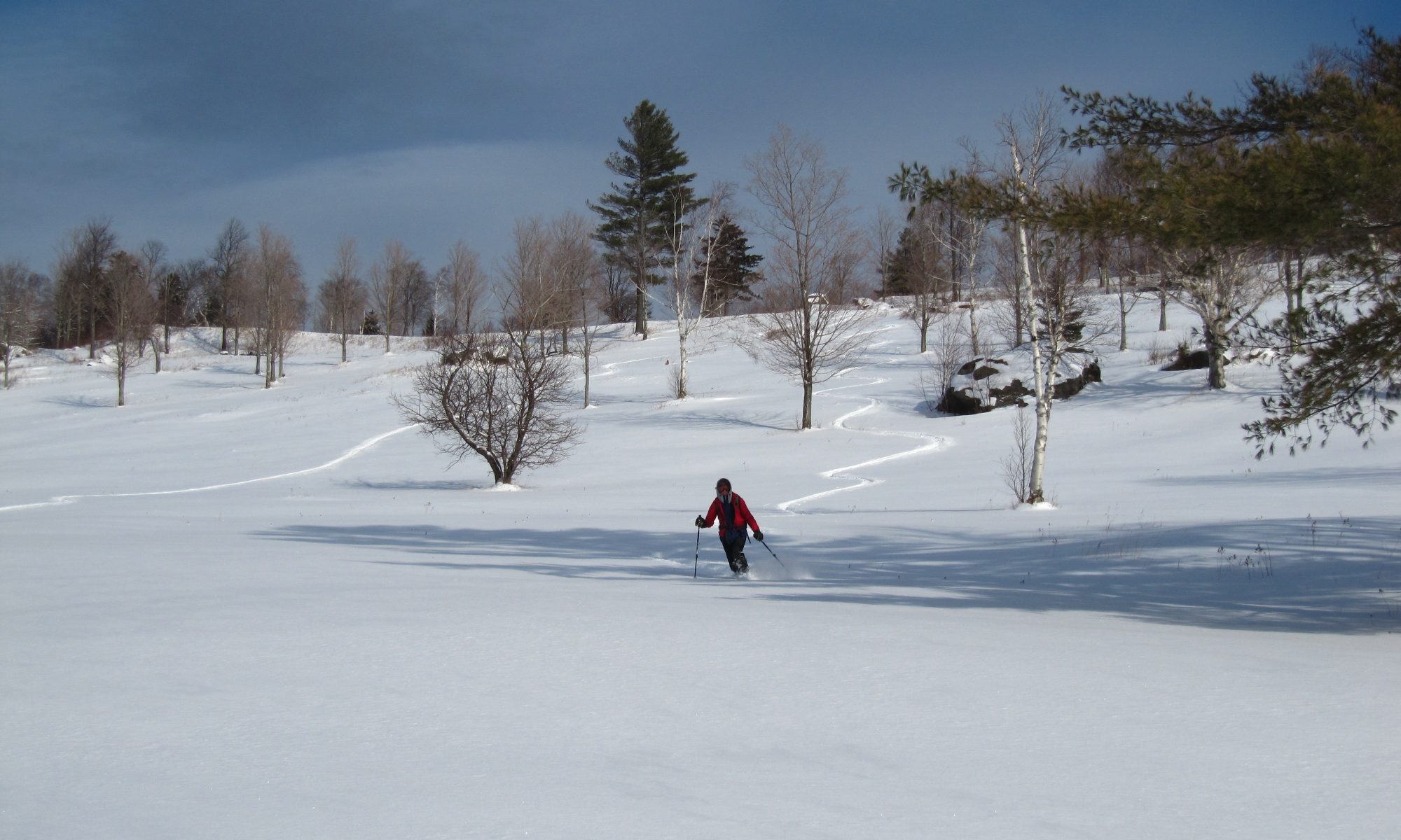 Field skiing