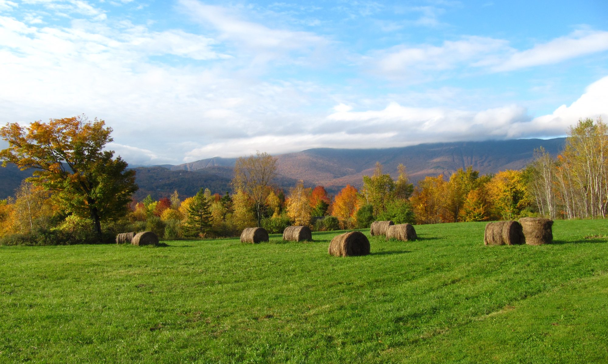 Round bales