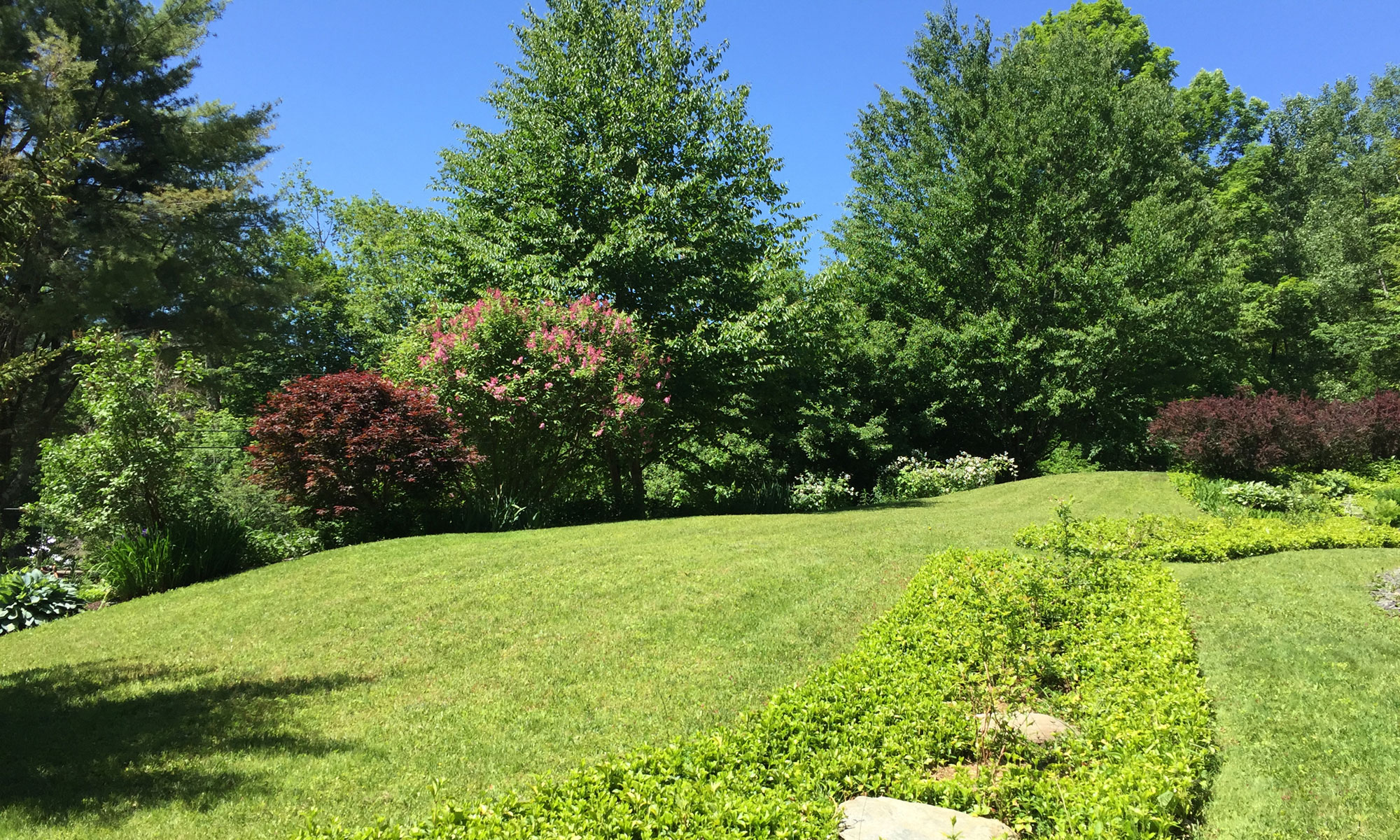 Ornamental garden at the road, blueberries near the driveway