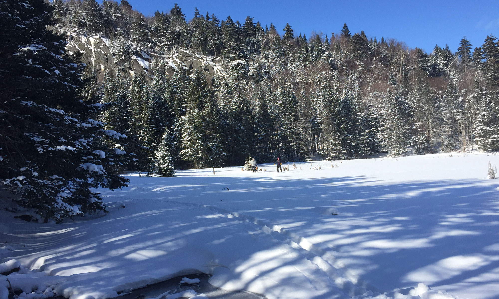 Lunch at the beaver ponds