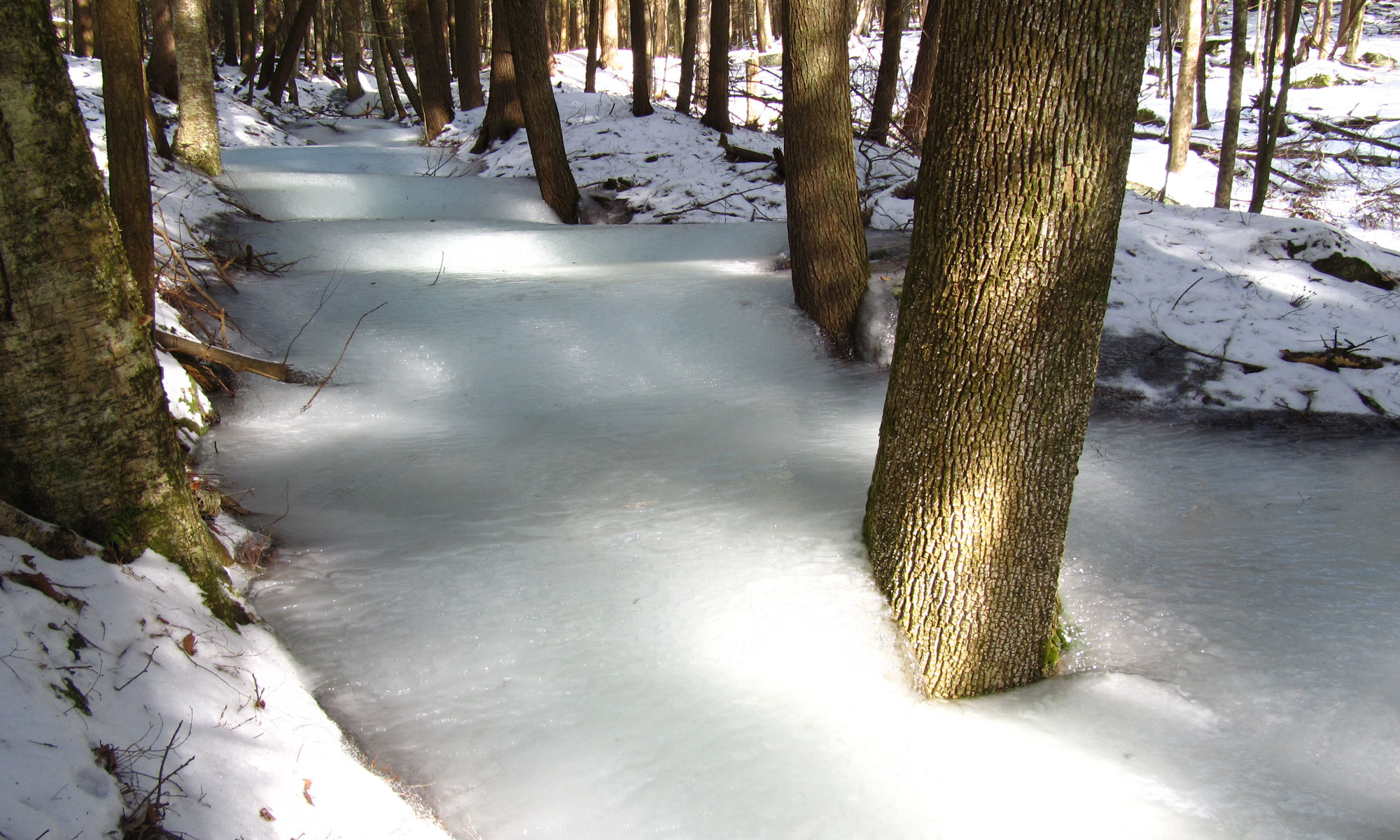 Ice floes on stream