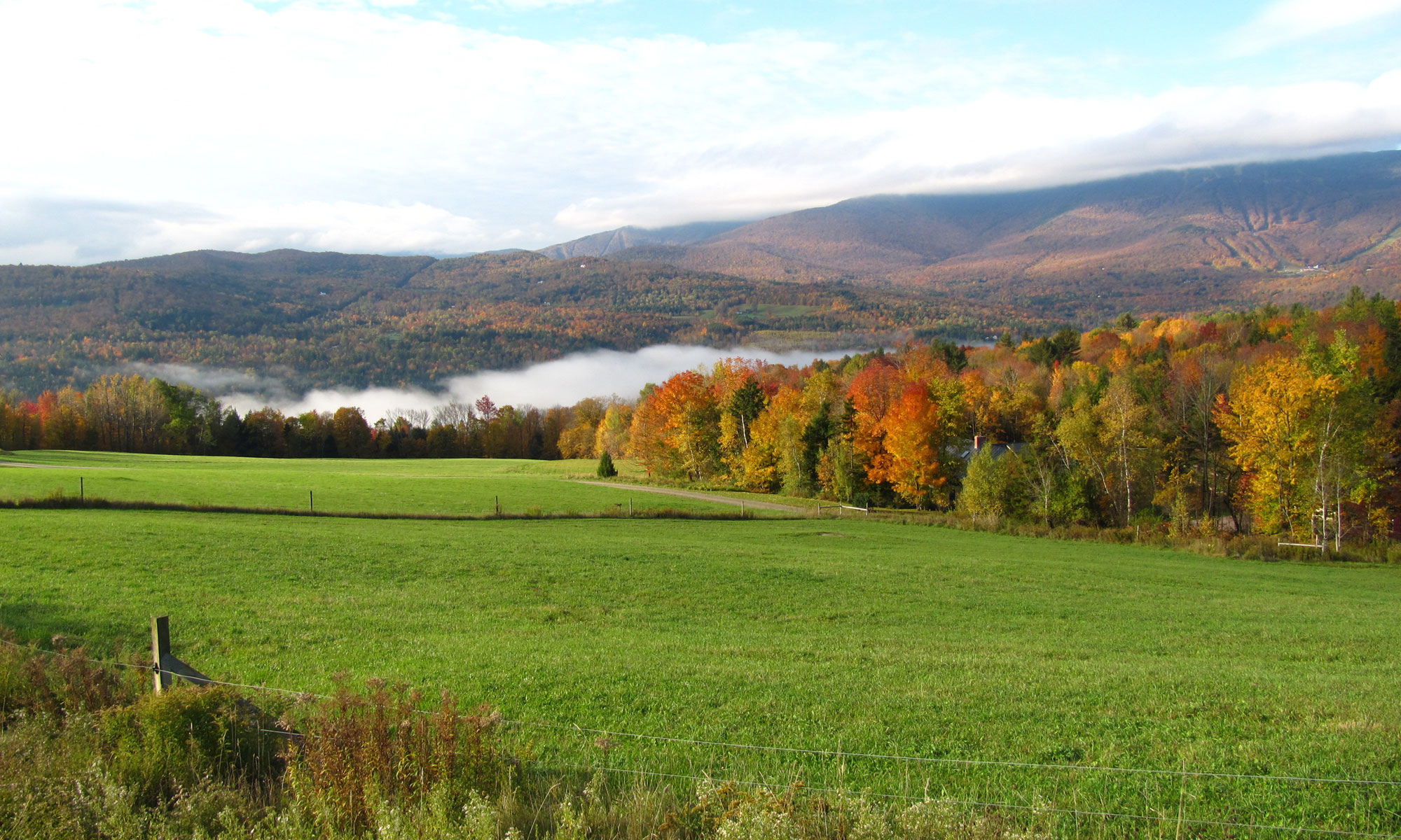 Valley Fog